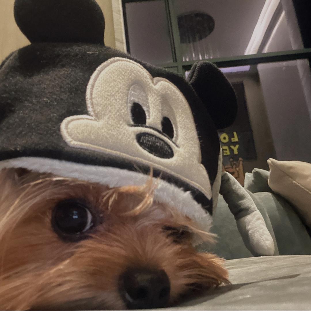 爱我的话