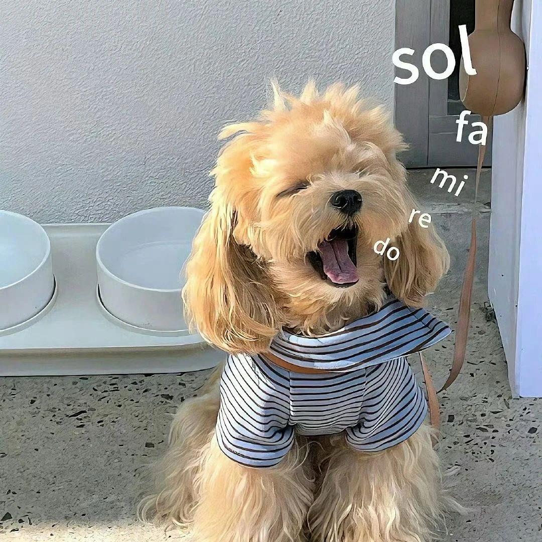 偶尔朵朵乌云