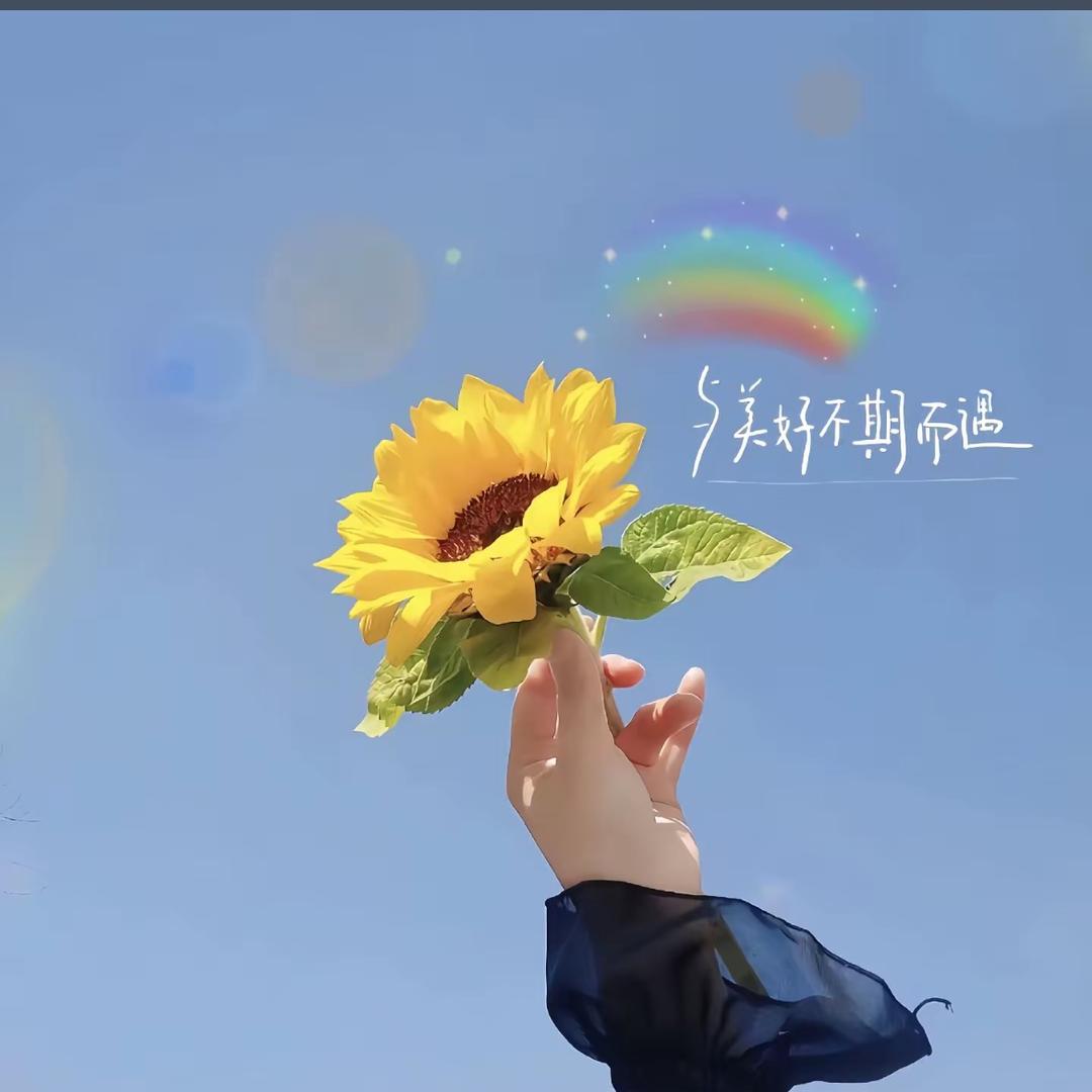 🌈 露西  ✨