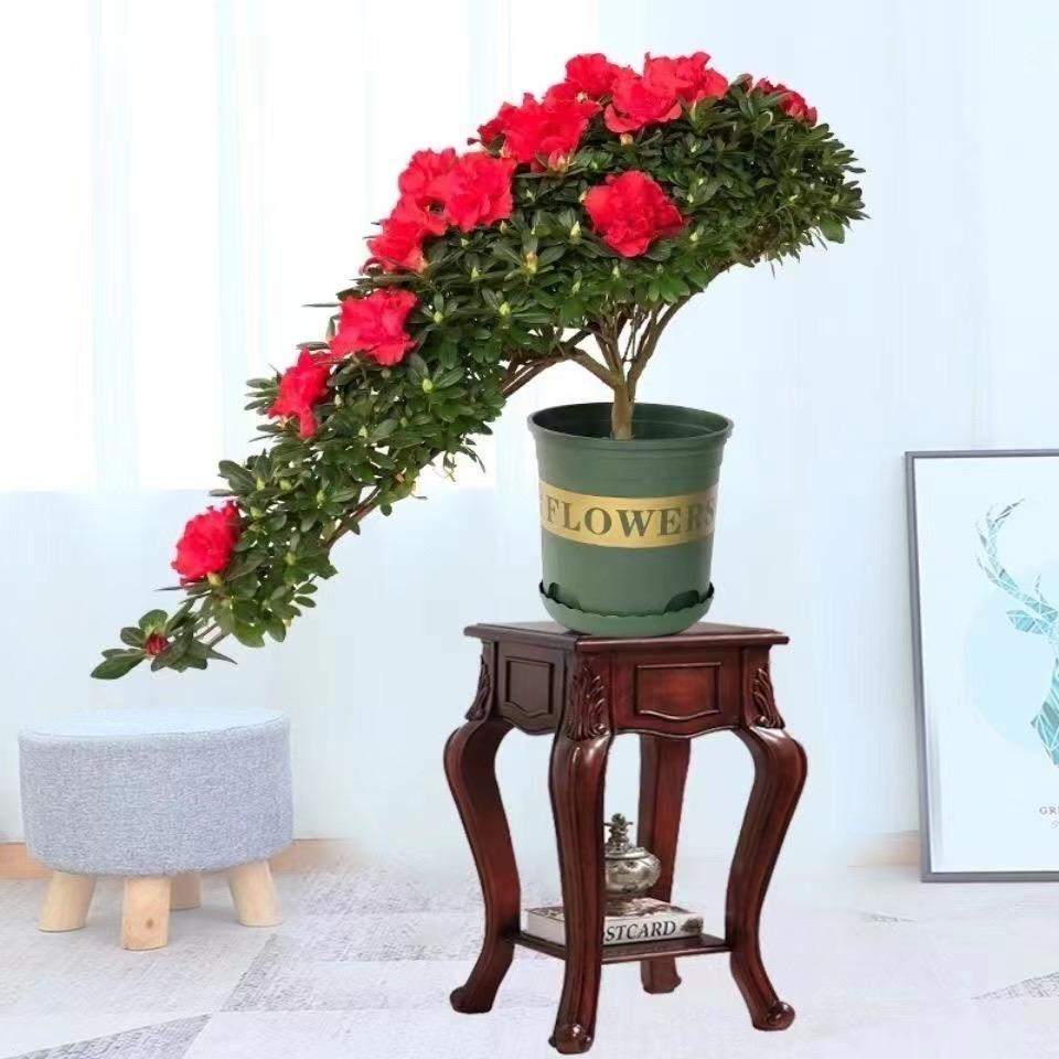 志美花木场