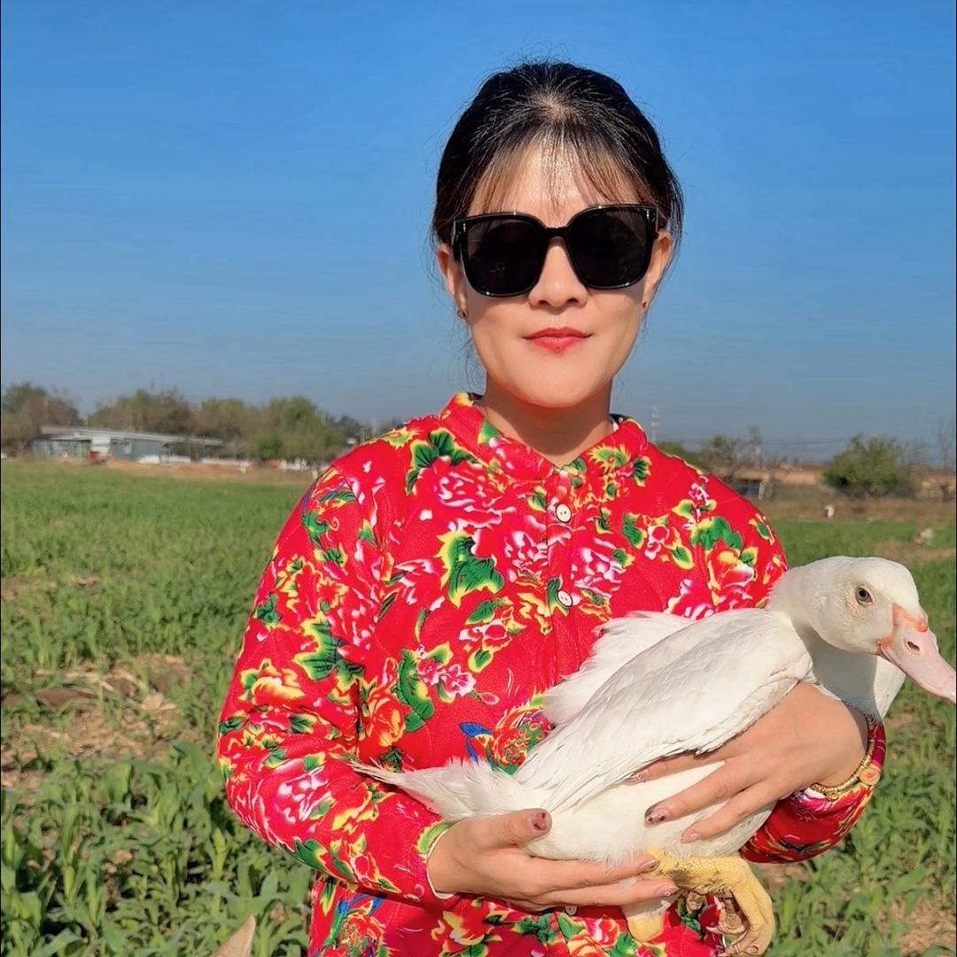 行走的鸡（通州小羊）