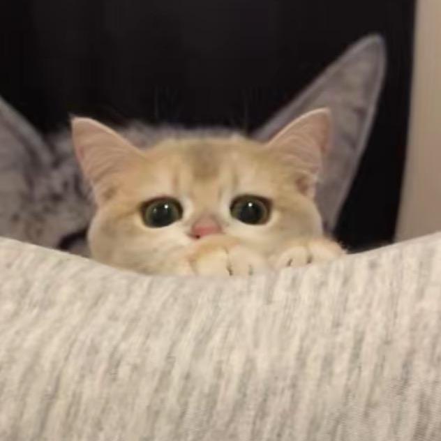 每日精选小店💕