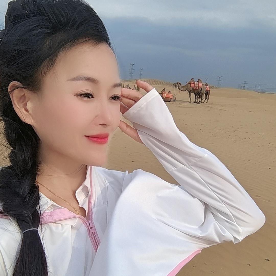 书芯