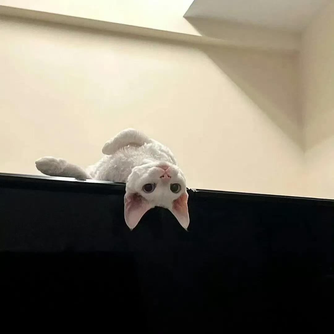 小u