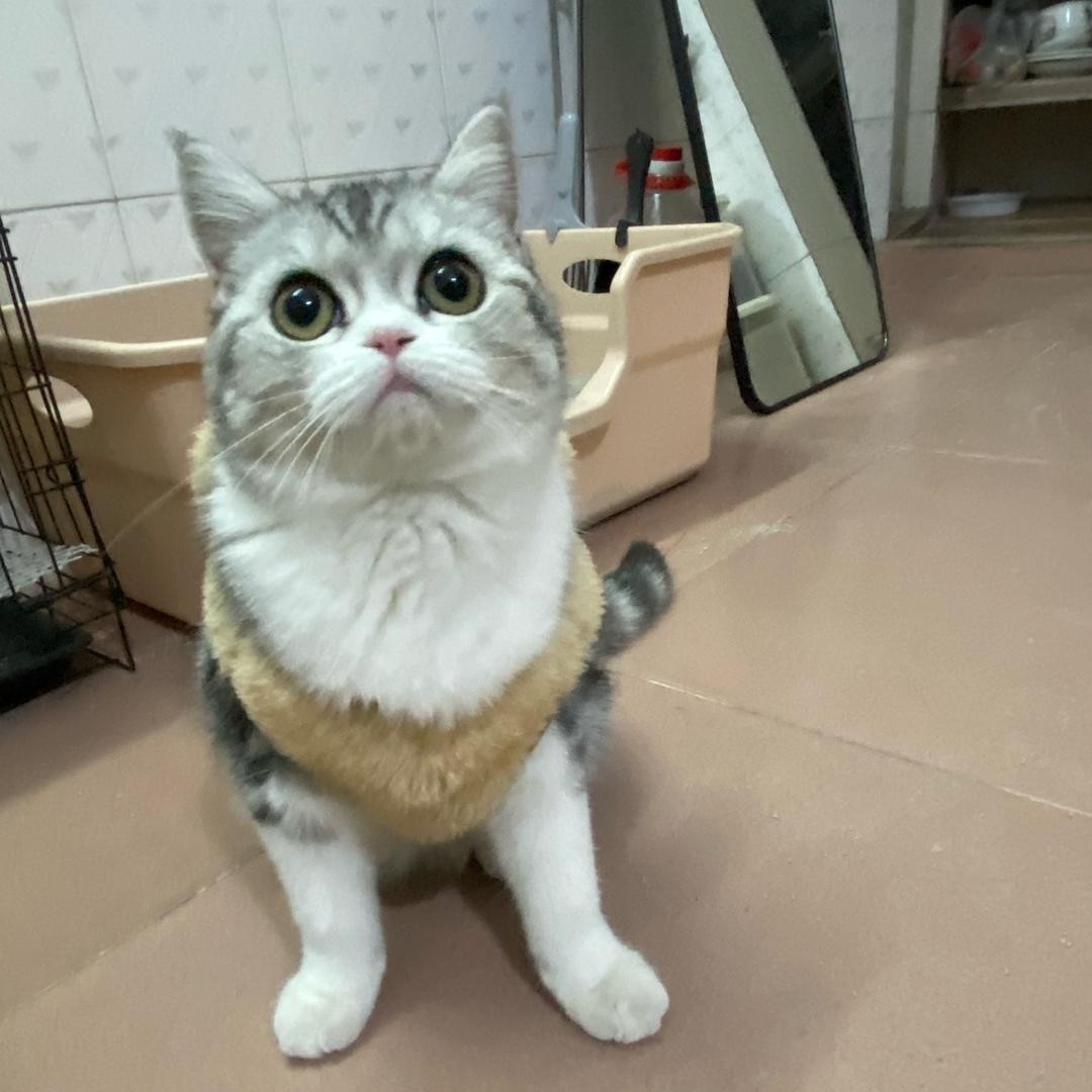 法外狂徒