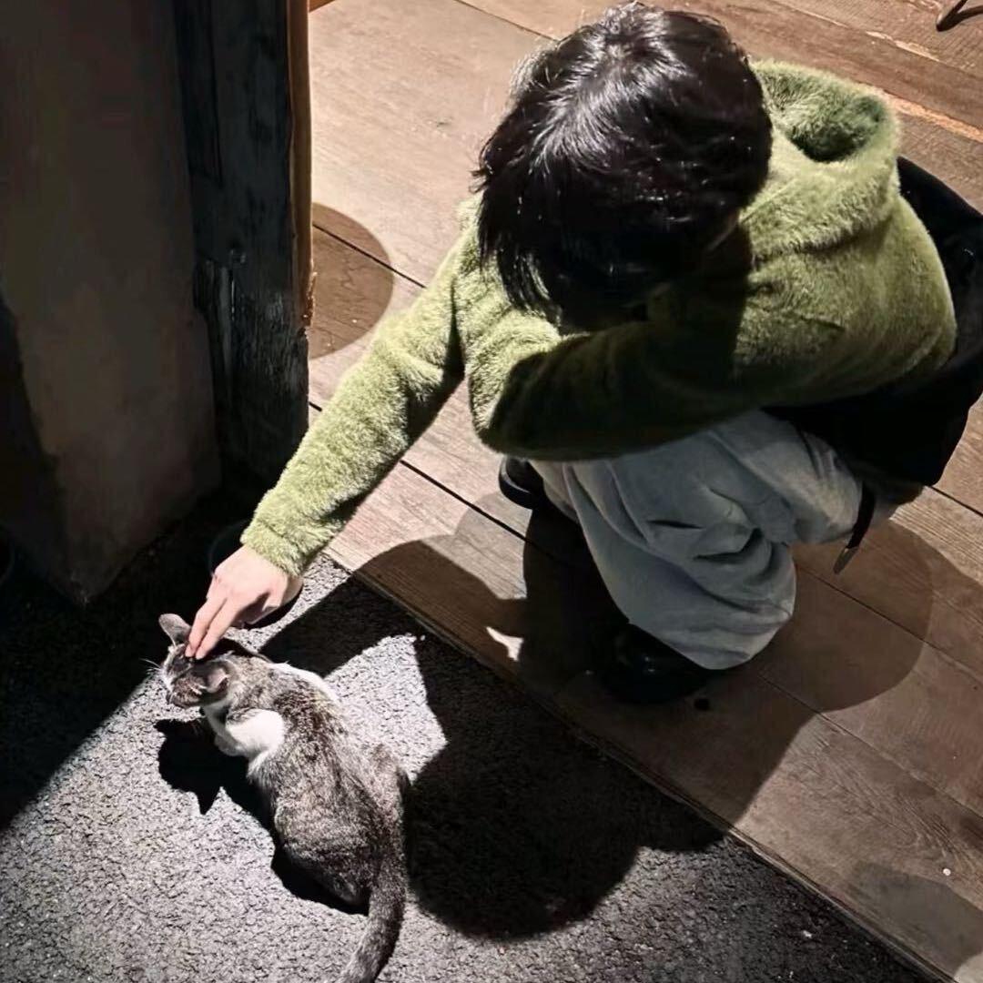 王介（专业套狗）