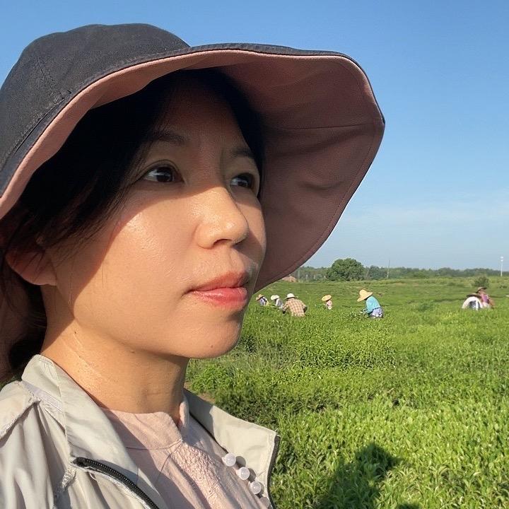 茶山老板娘