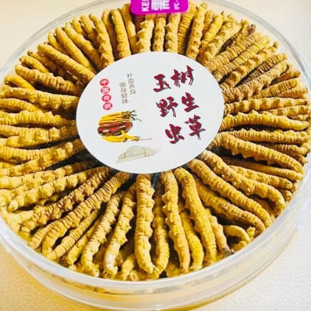 青海玉树野生虫草店