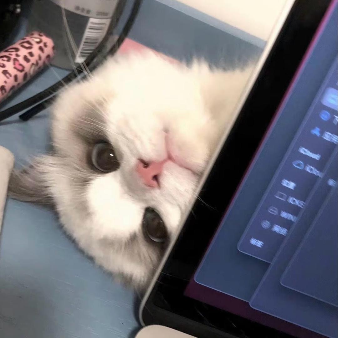 张  淼