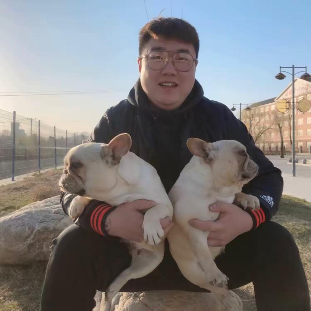 左教兽  爱养狗