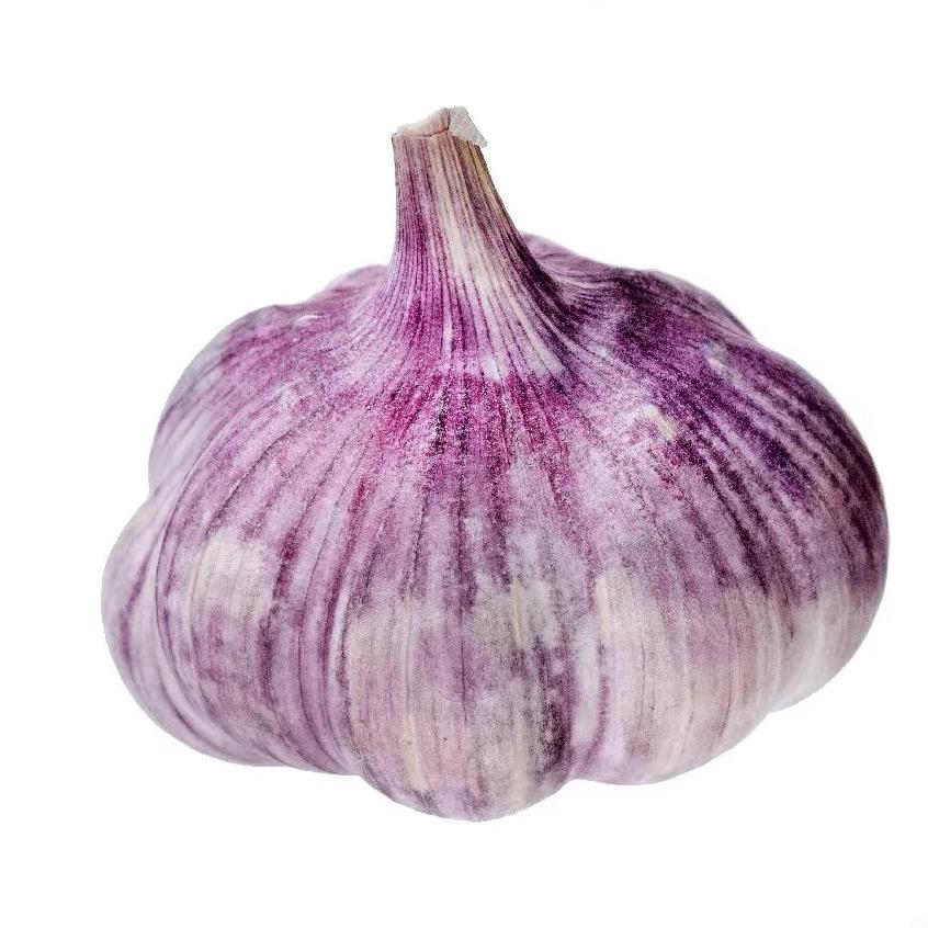 一头嫩嫩大蒜