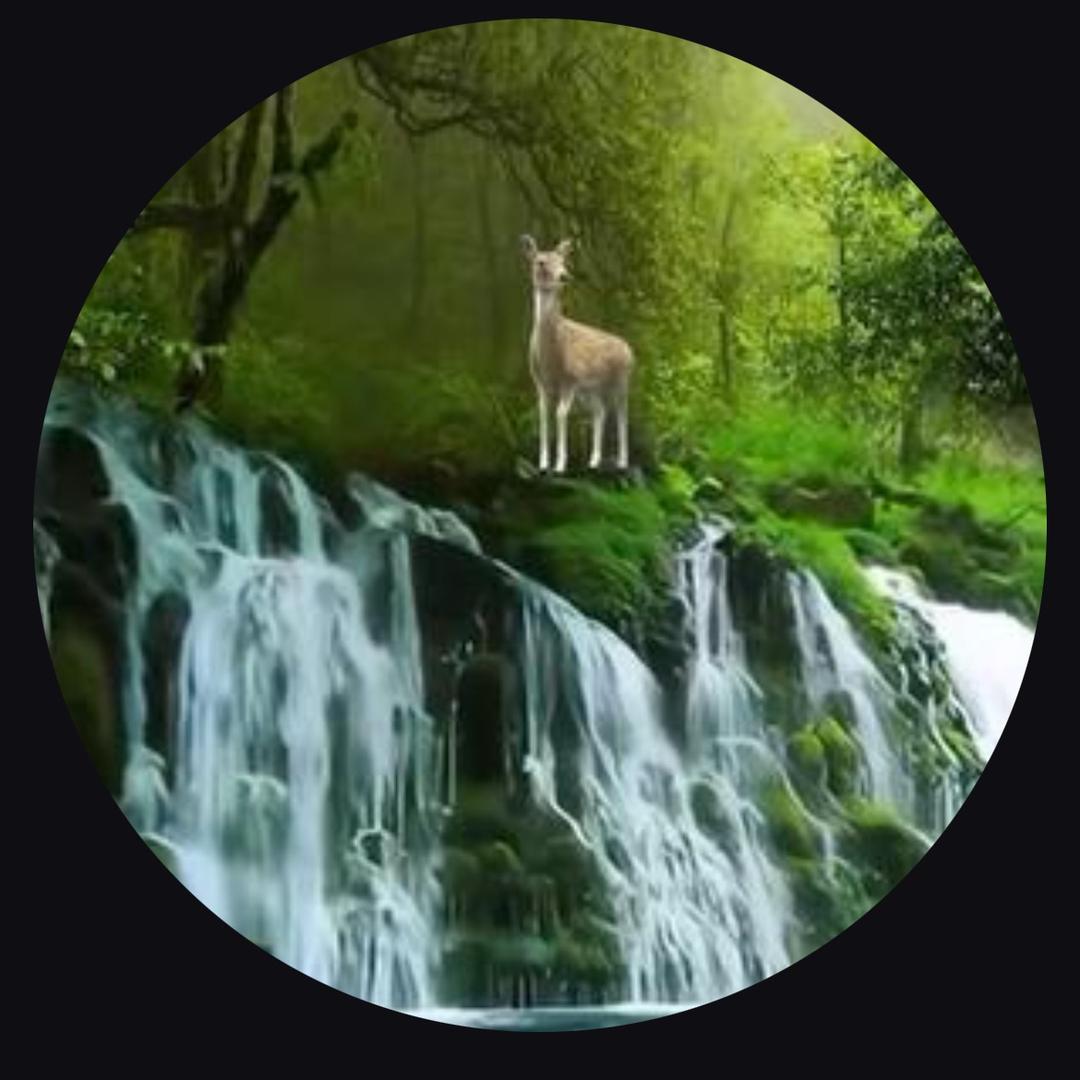 ༄℘⃝✨约💗ᩚ定℘⃝✨0522℘⃝࿐