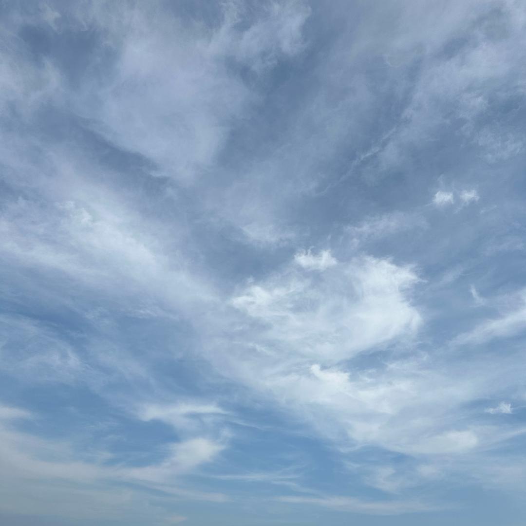 秋天🍃