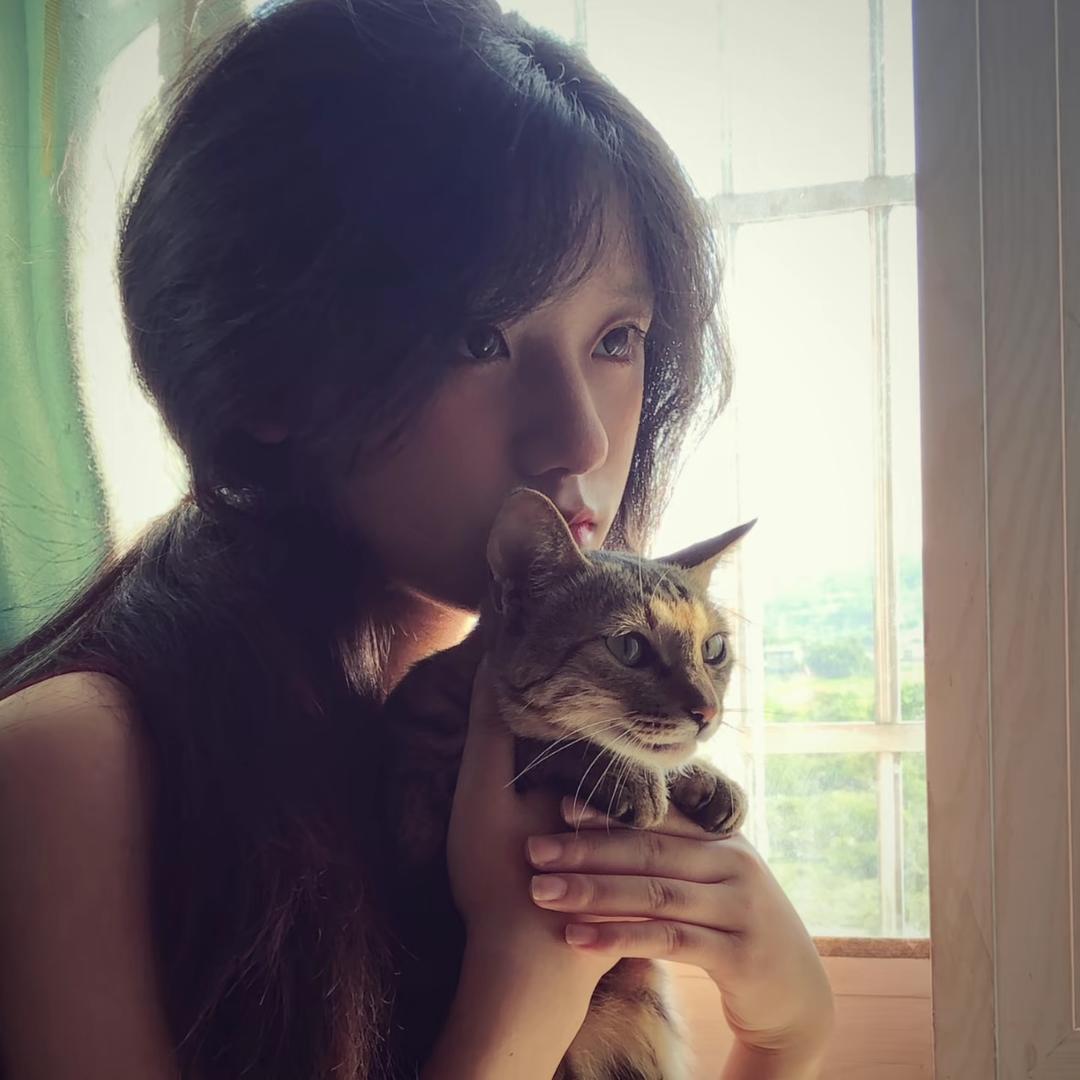 想养一只猫.