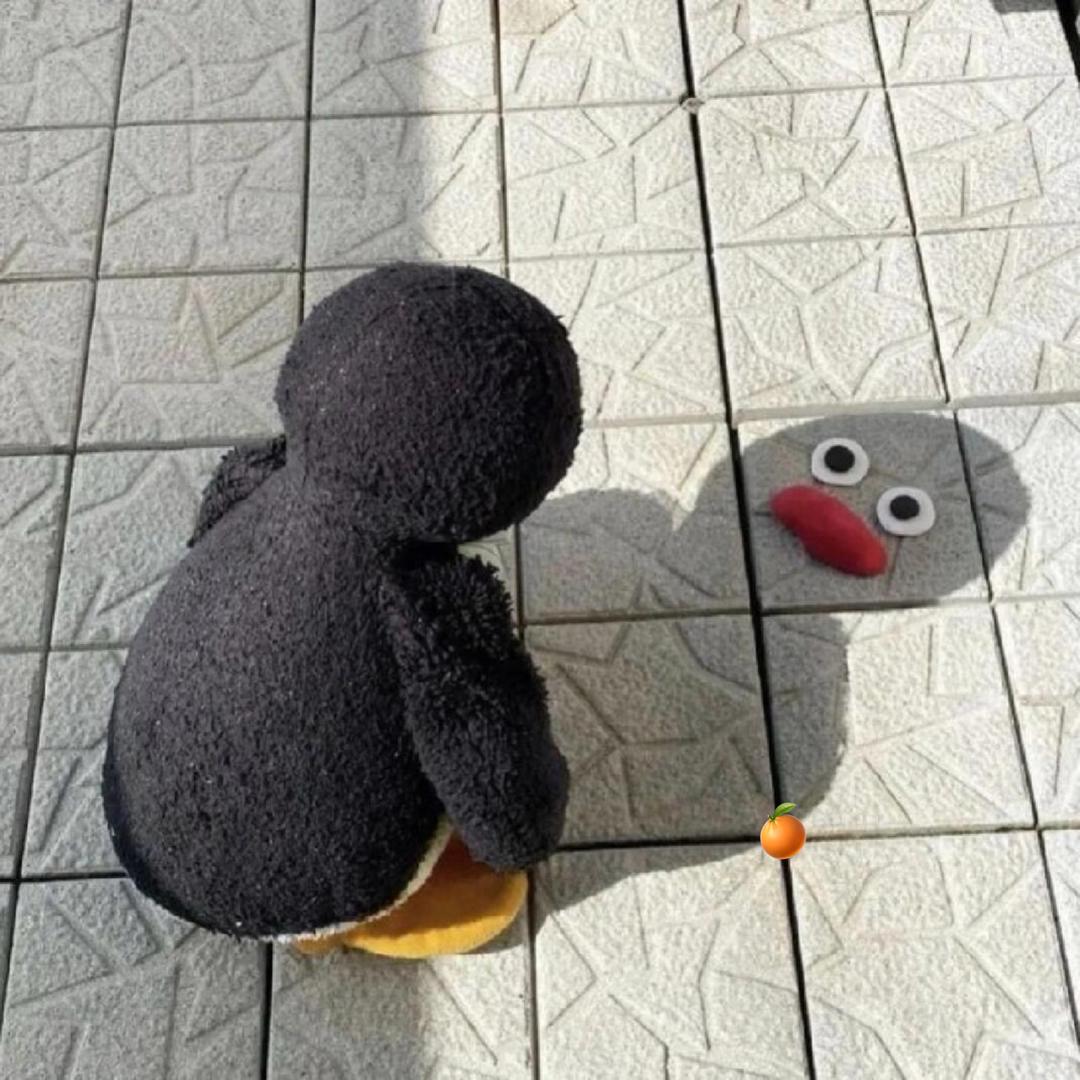橙橙子