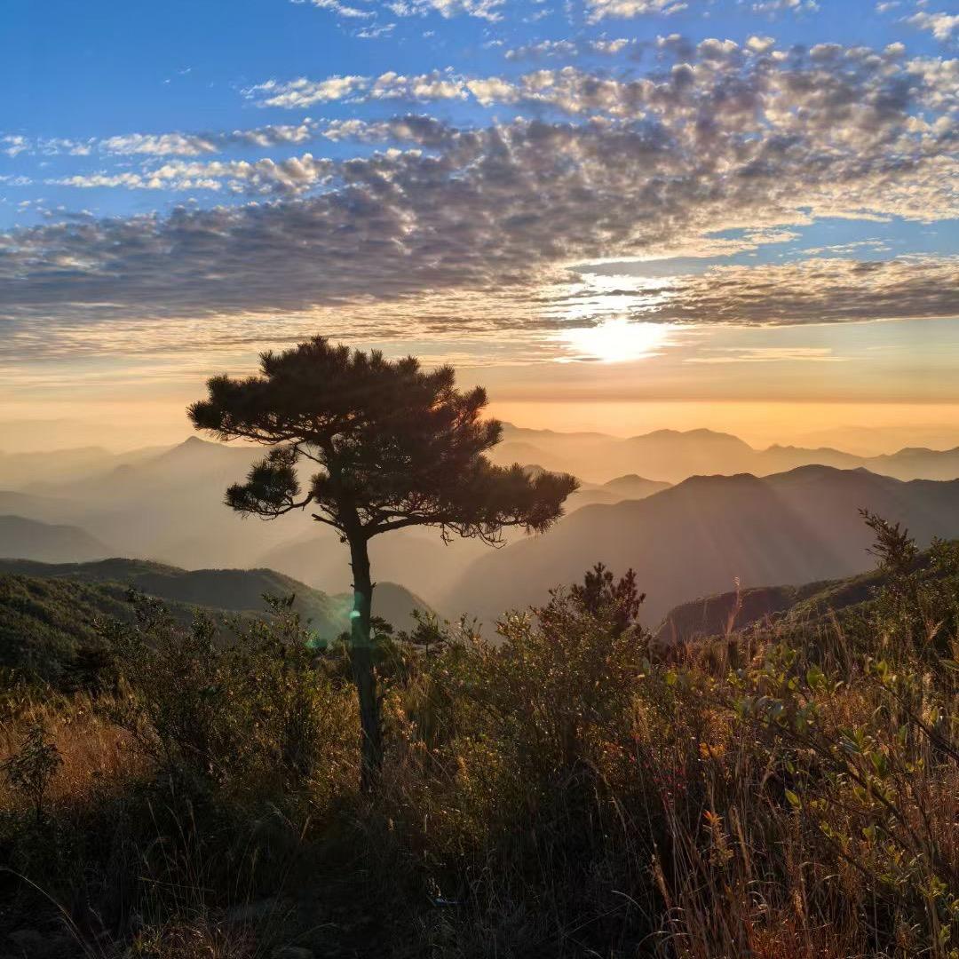 赏心悦木工艺坊