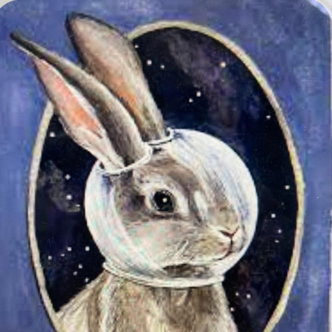 Spacebunny