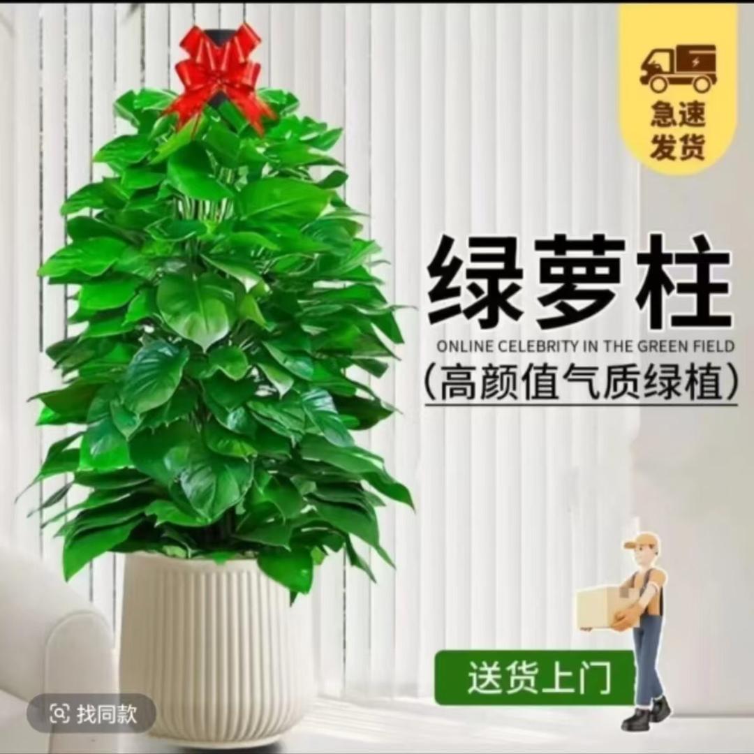 森林木园艺