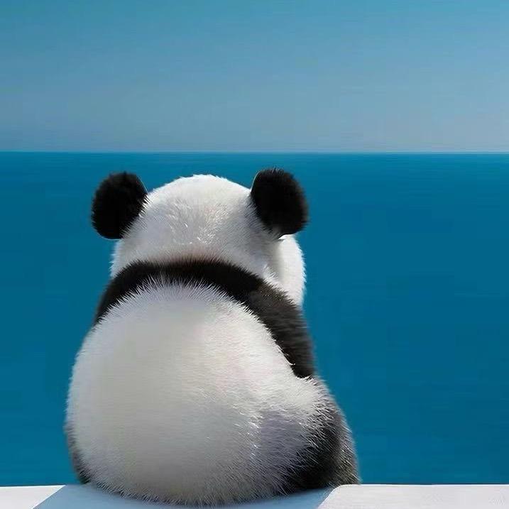 阿墩小阿墩