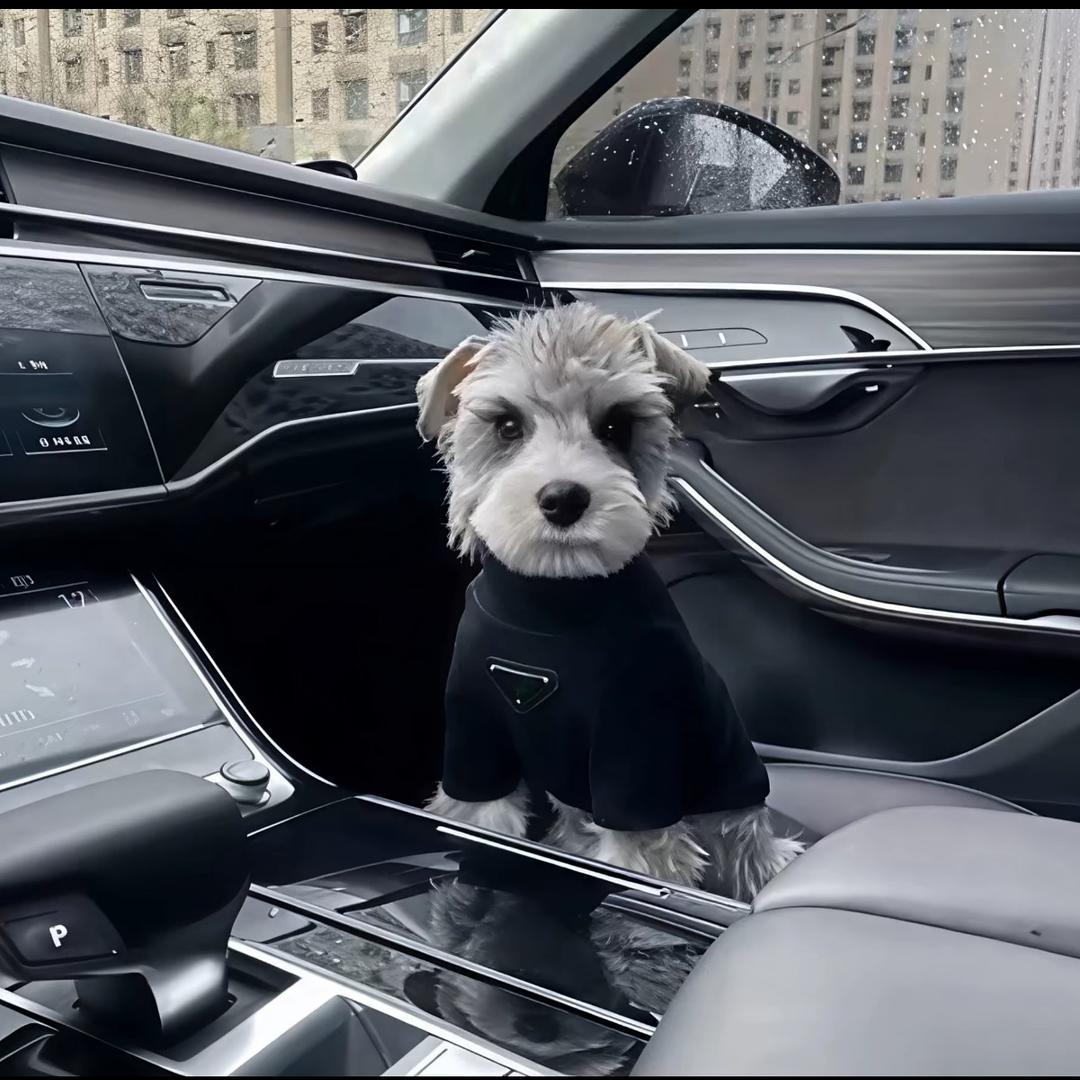 没有少爷命一身少爷病