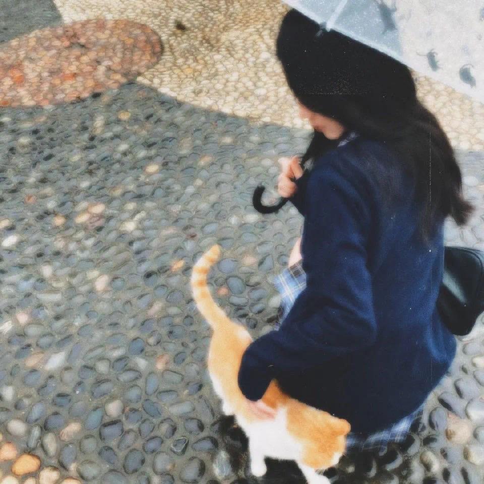 星儿🌙