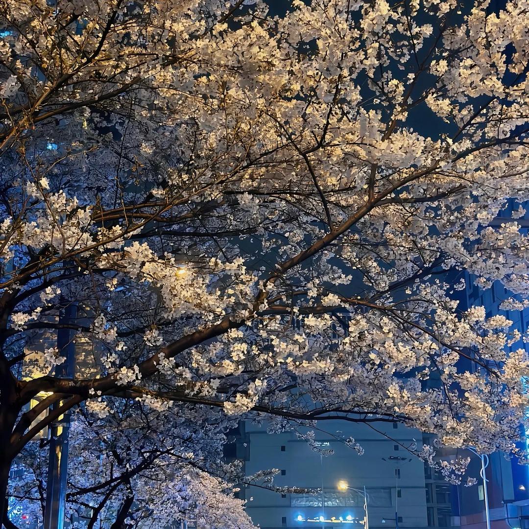 开坦克的手机搬运工