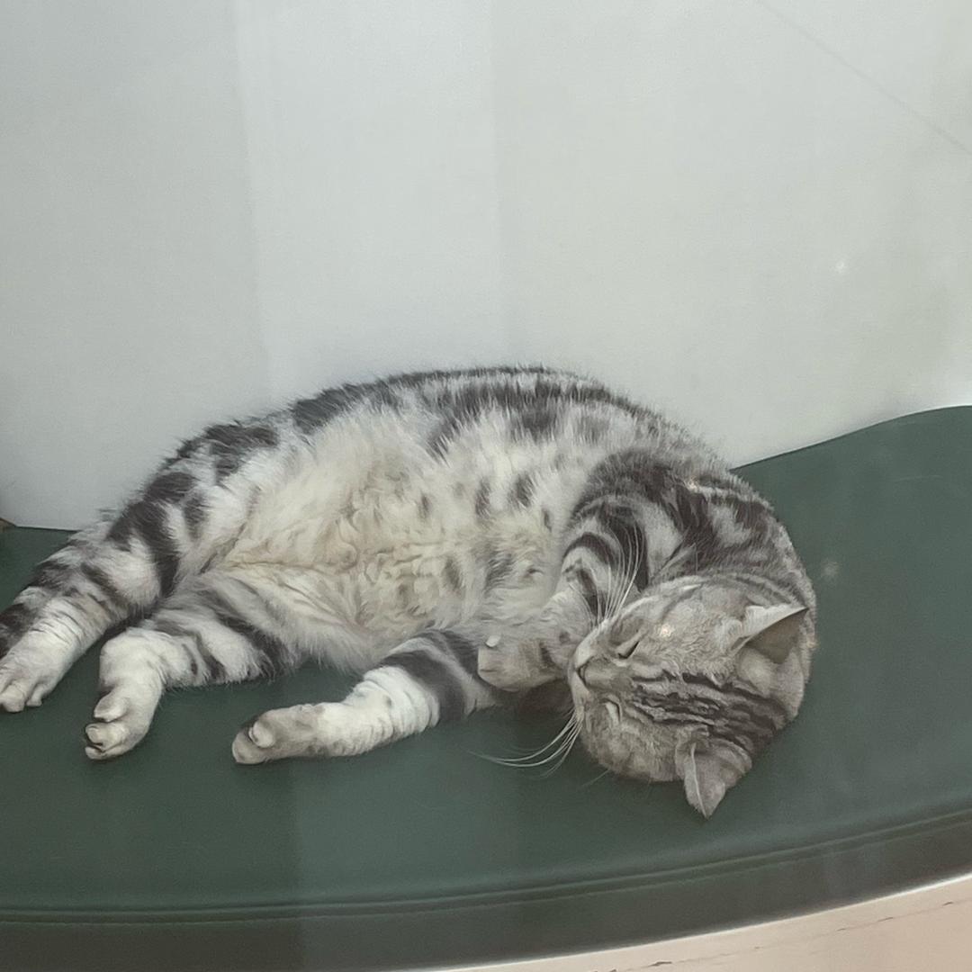 迪泰