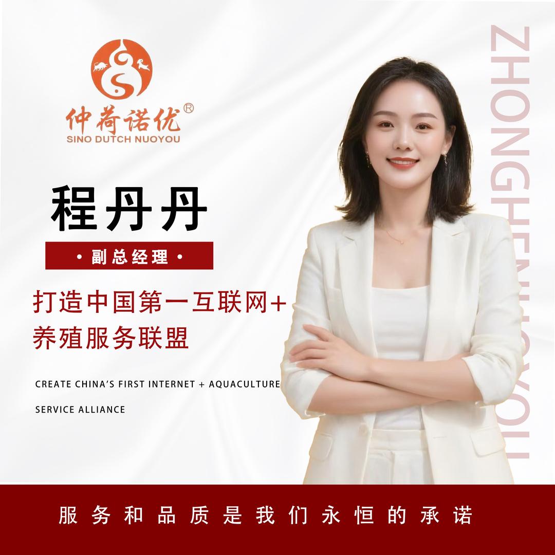 仲荷诺优～丹丹