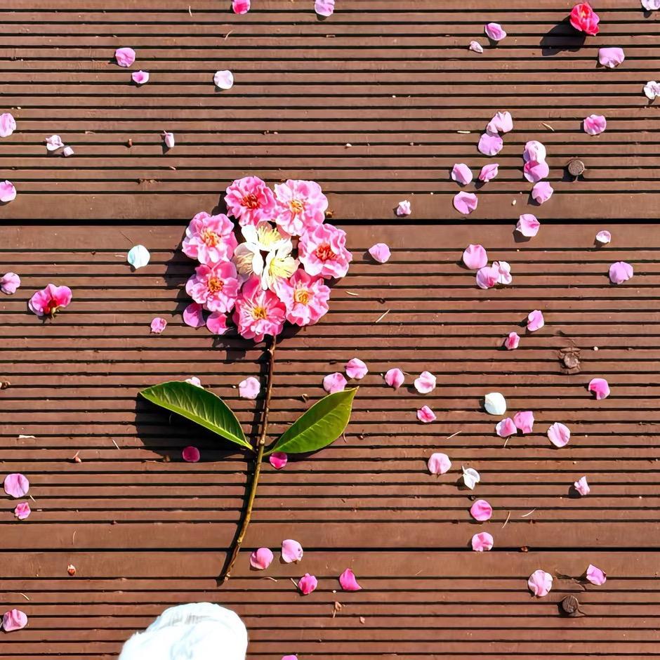 步步为赢ཀོ🔭🪜