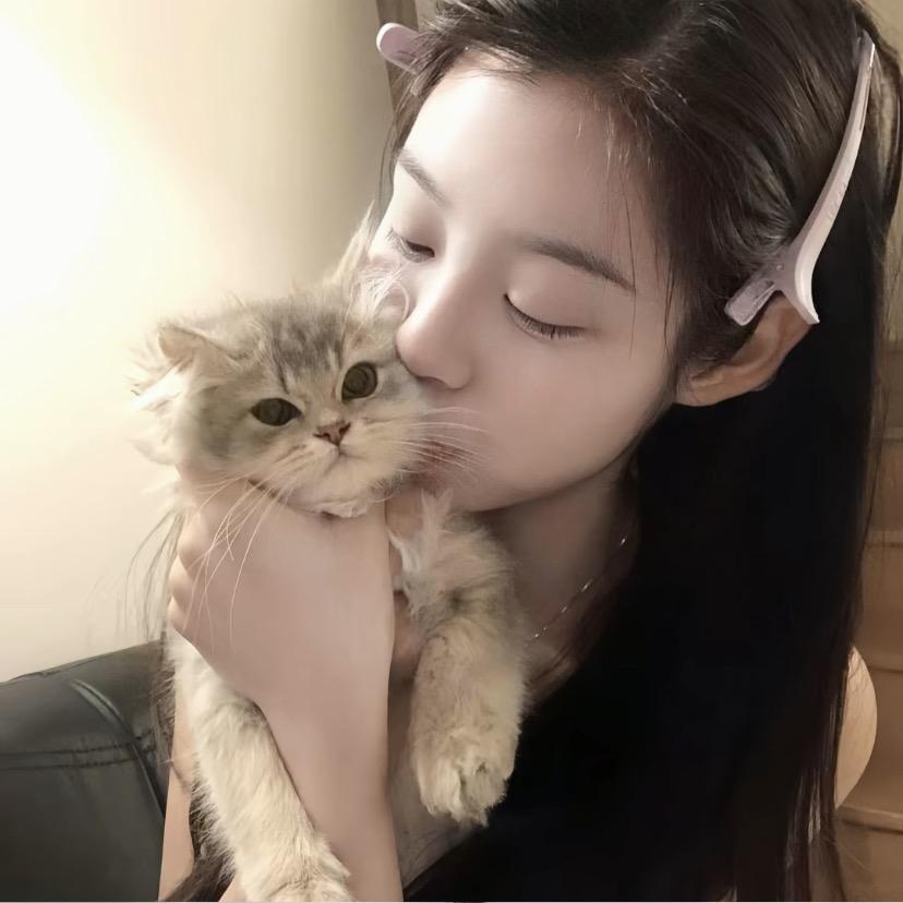 ㅤㅤㅤ
