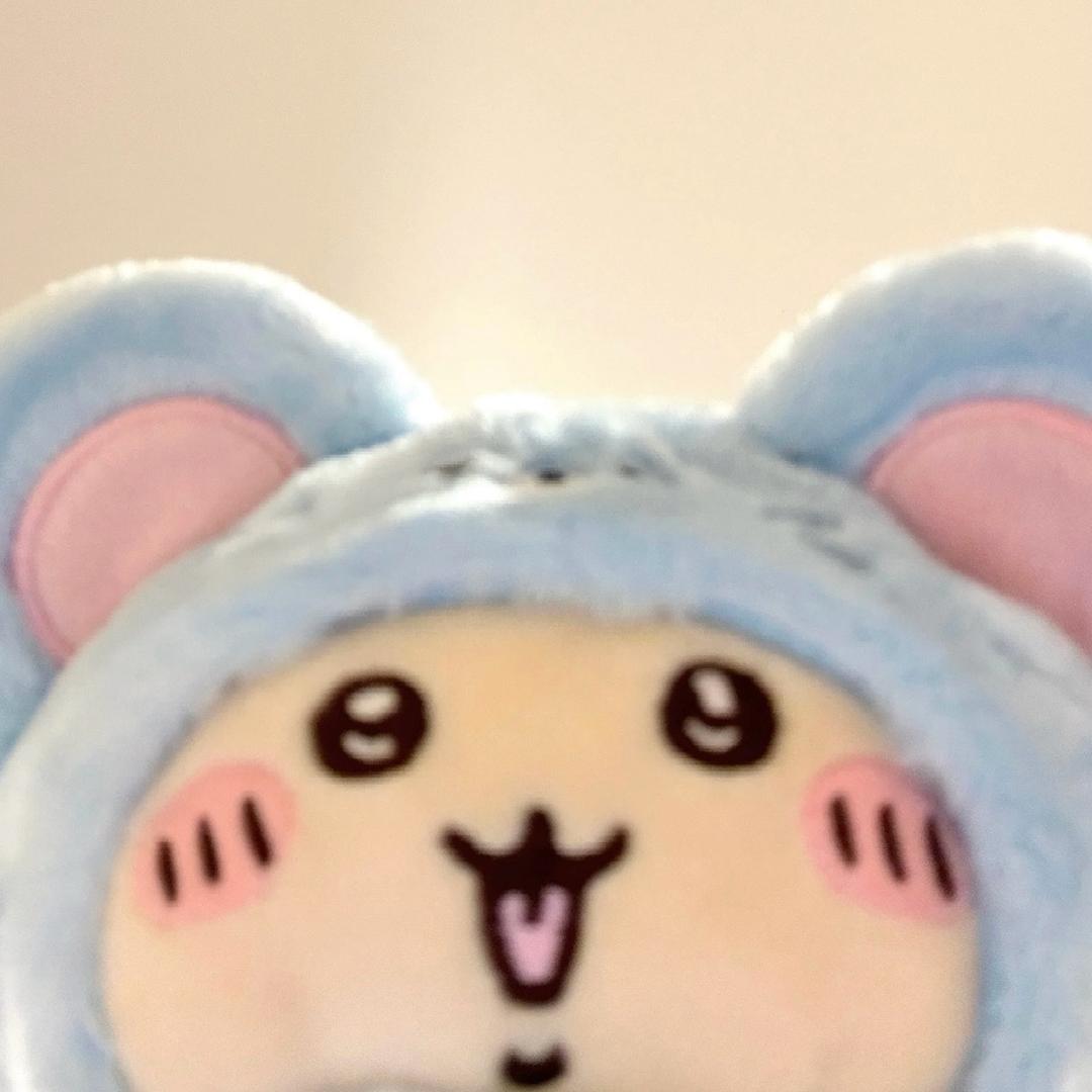 呆萌de小城城