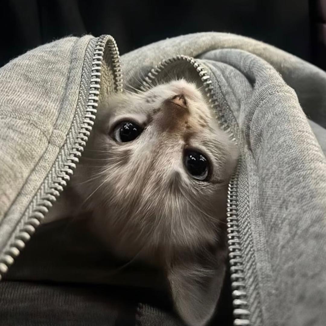 你的眼睛