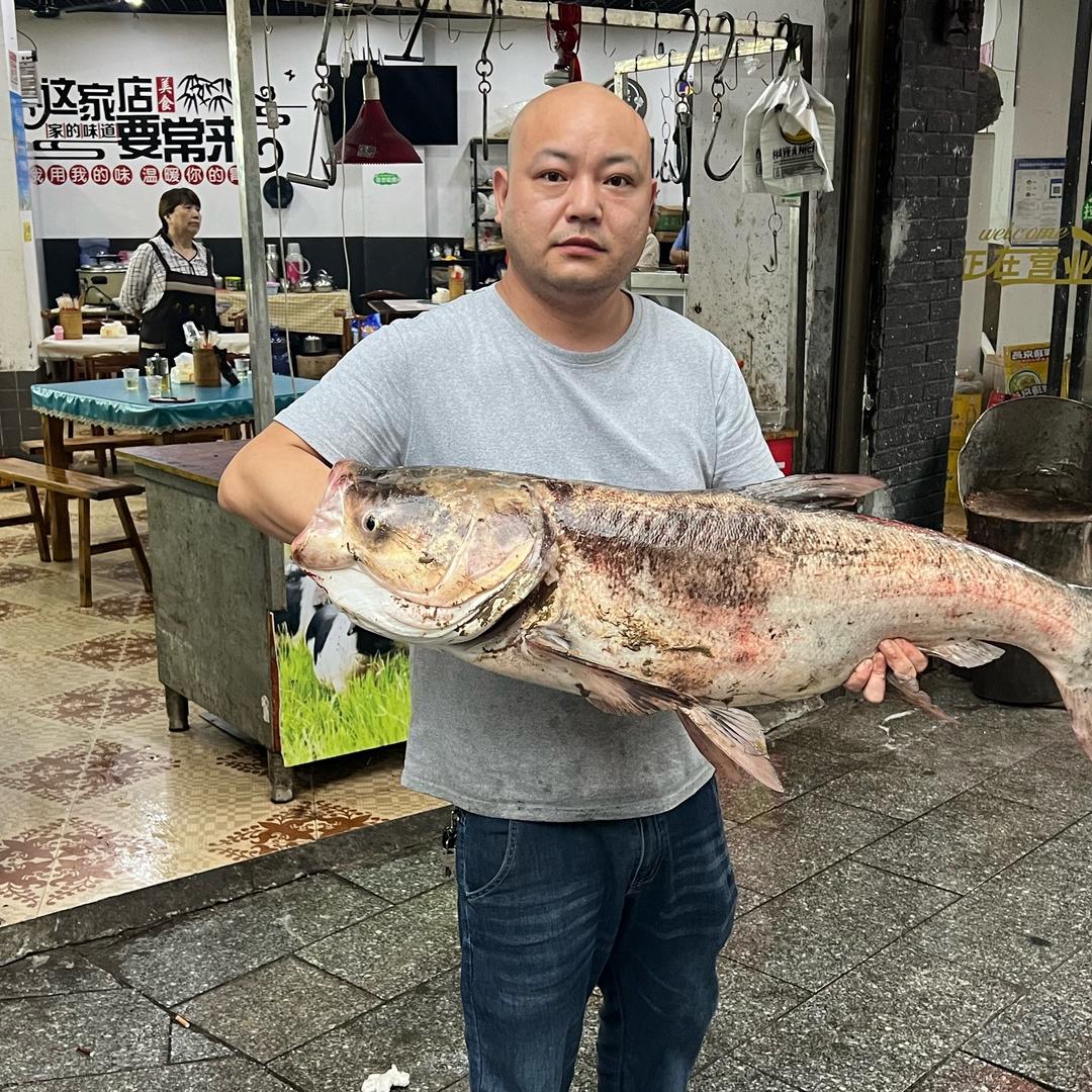 衡阳光头老