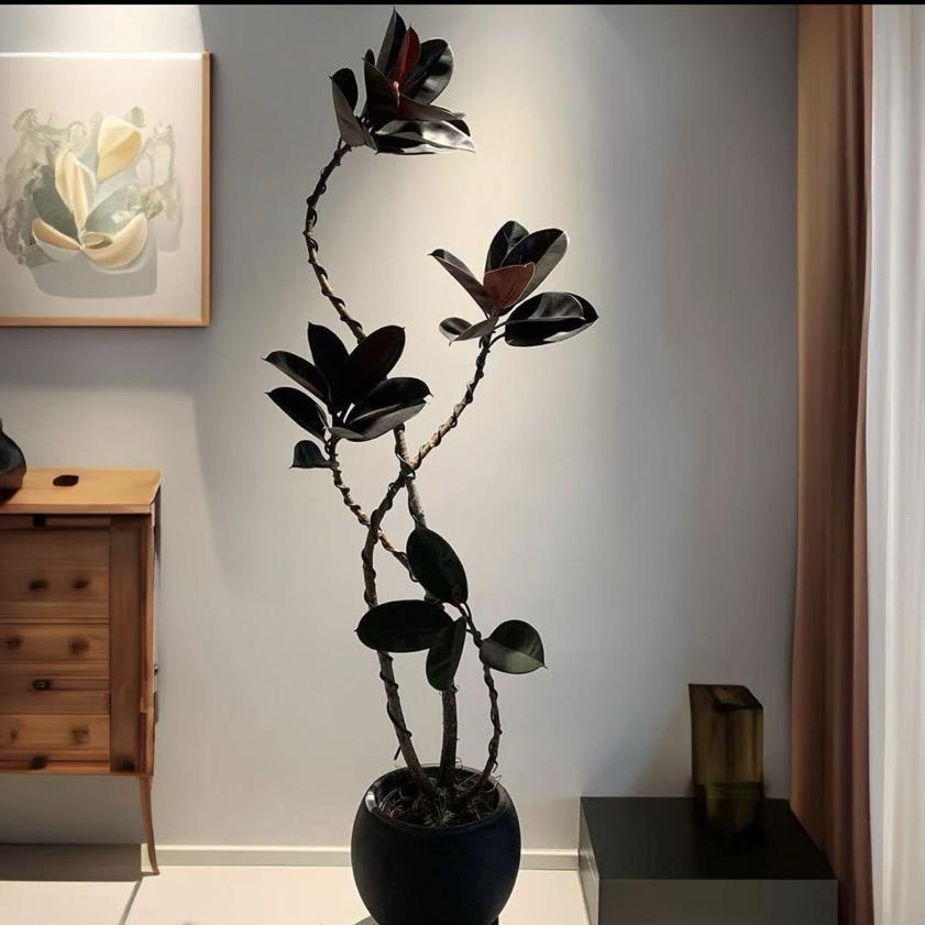 苔前漫语园艺店