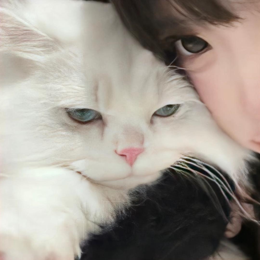 睡个好觉@