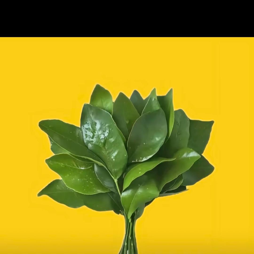 富婆不吃折耳根