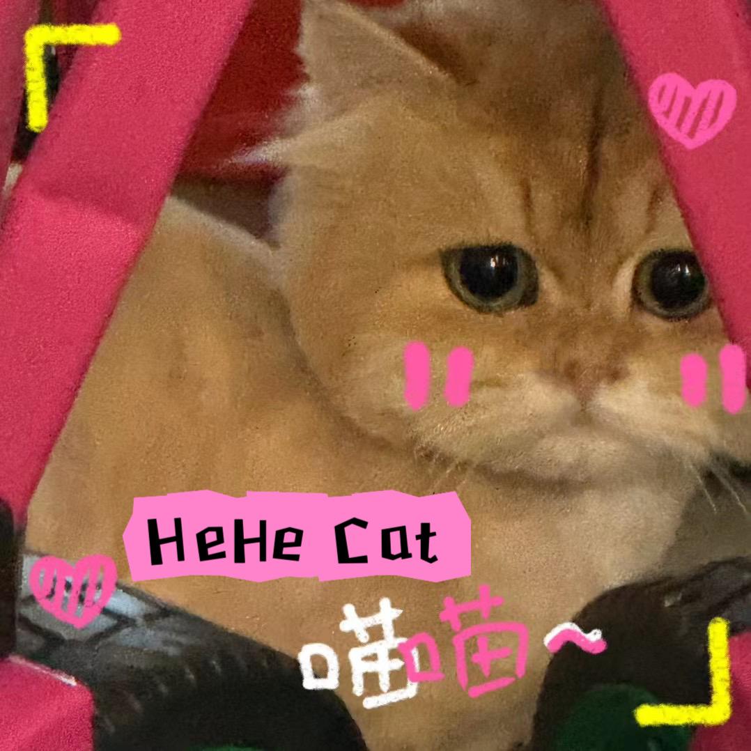 啾啾是只猫