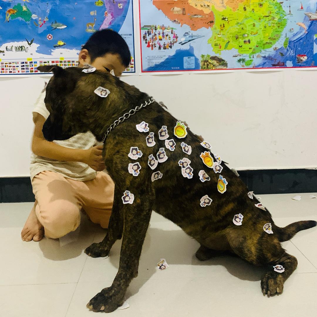 赣南田园犬乐园