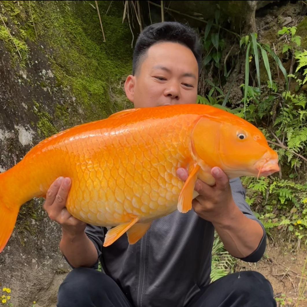 游钓中国琳峰
