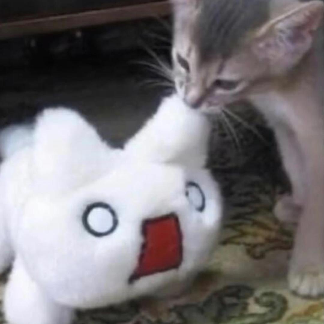 异食癖听我指挥