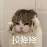两个小时没吃饭了