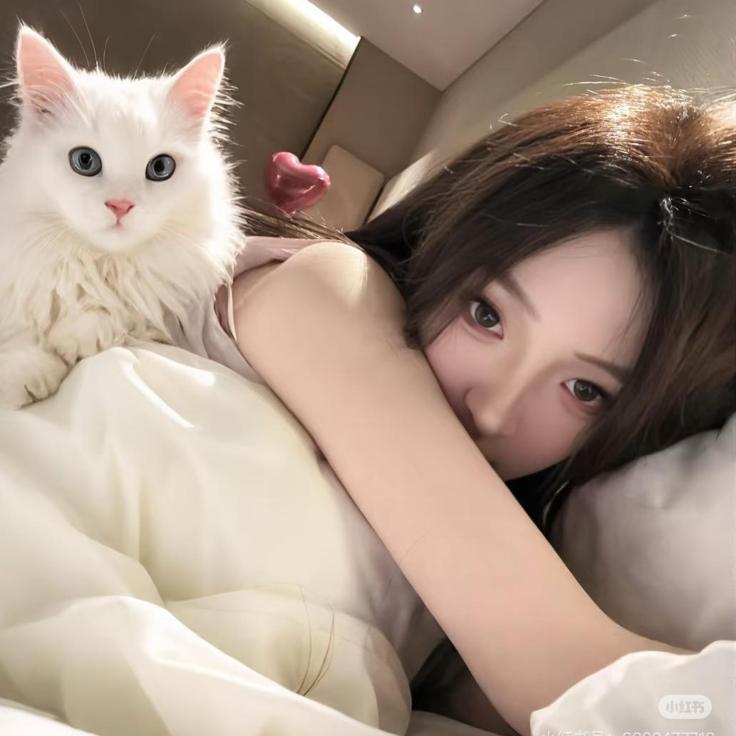 皮卡Q