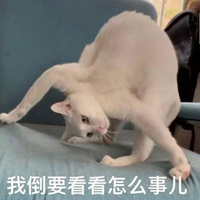 生活就是骗局，一旦开始思考就会发现一切根