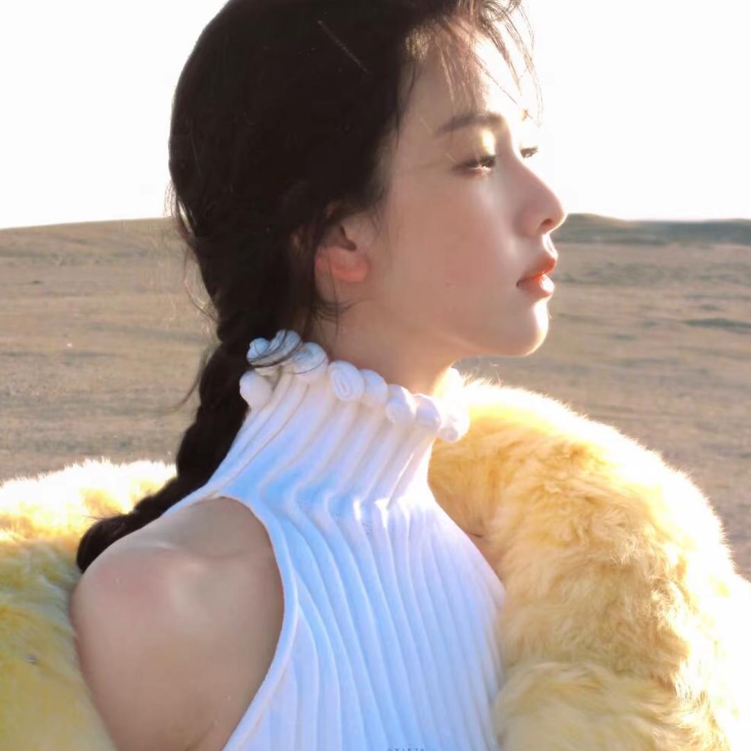 保守的妻子