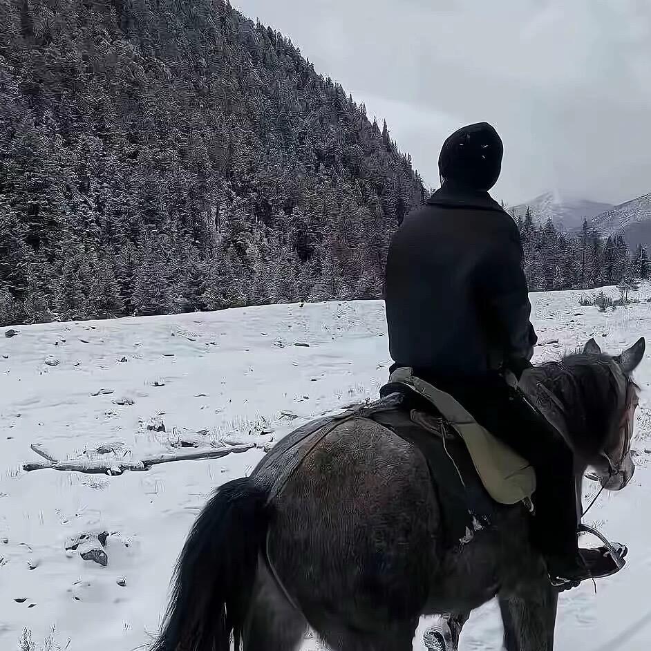 情.