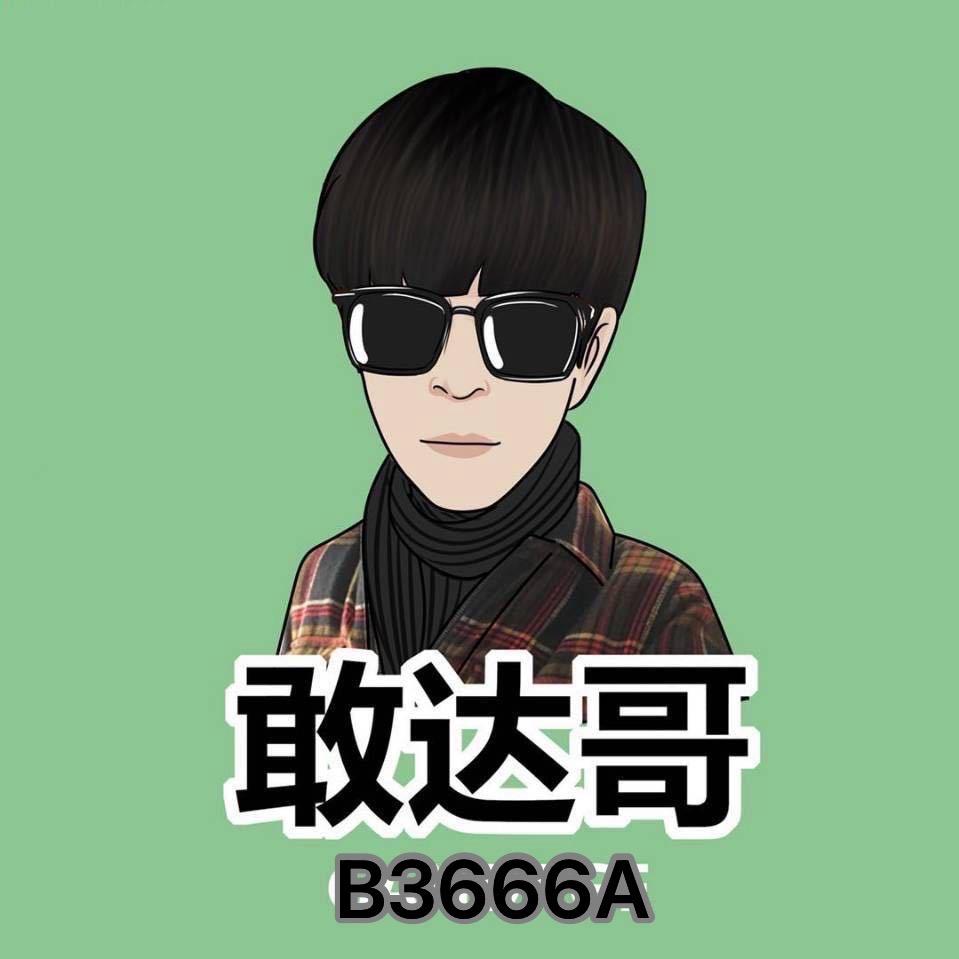 敢达哥拆车音响店