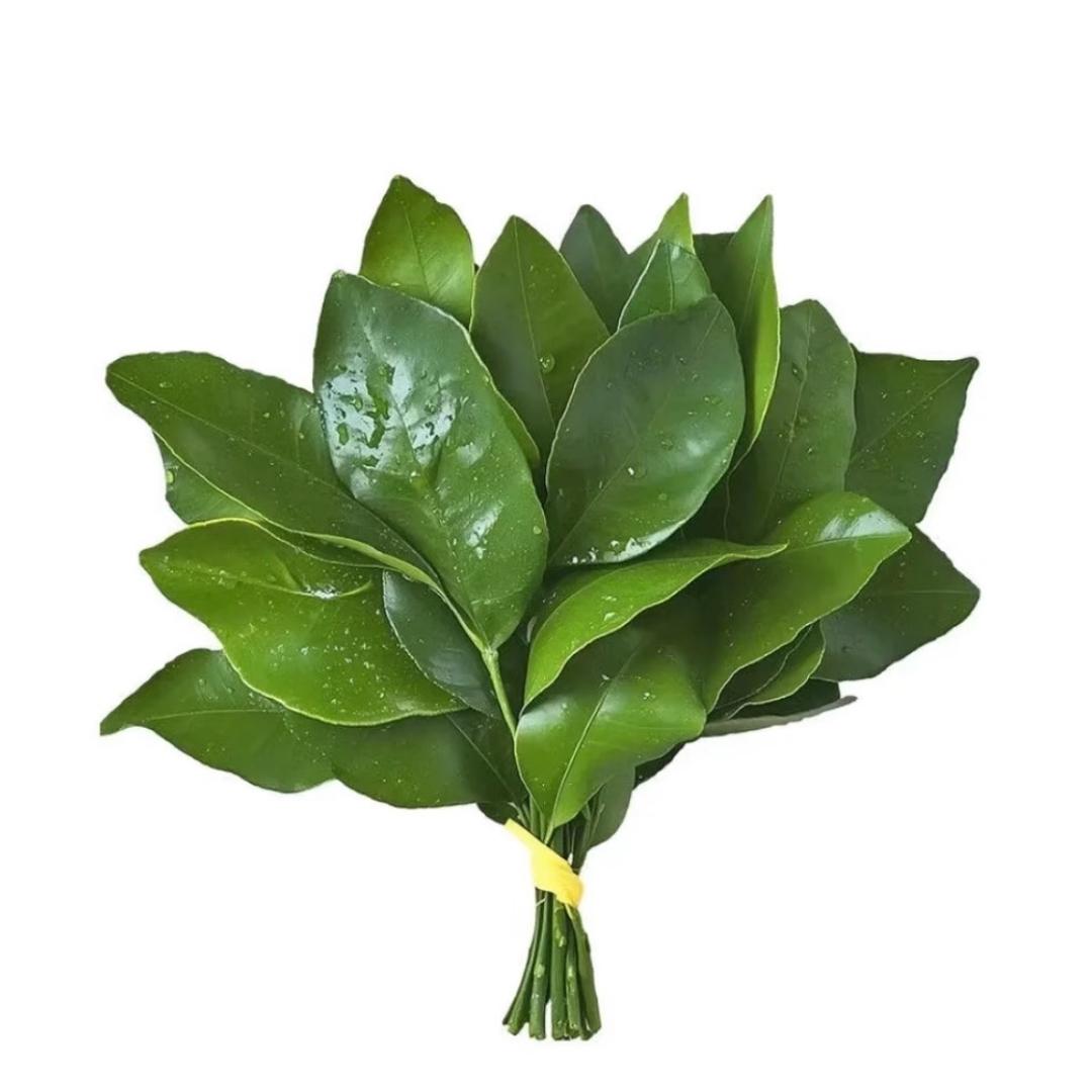 --抑郁小鱼饼