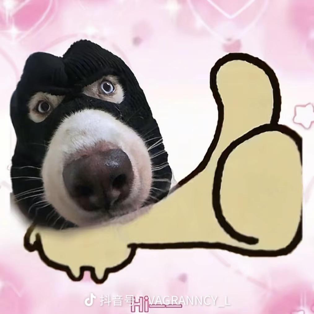 多律
