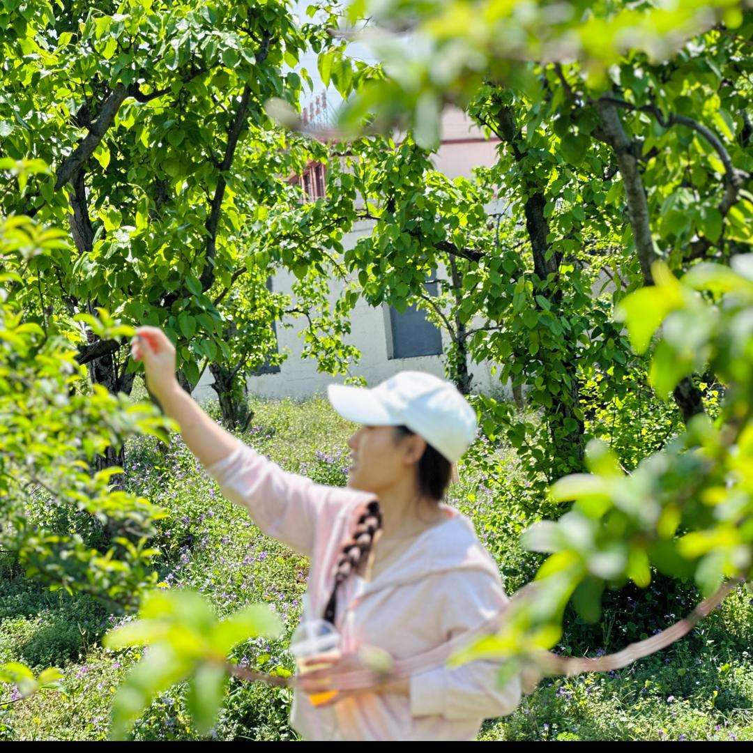 以谦麻麻