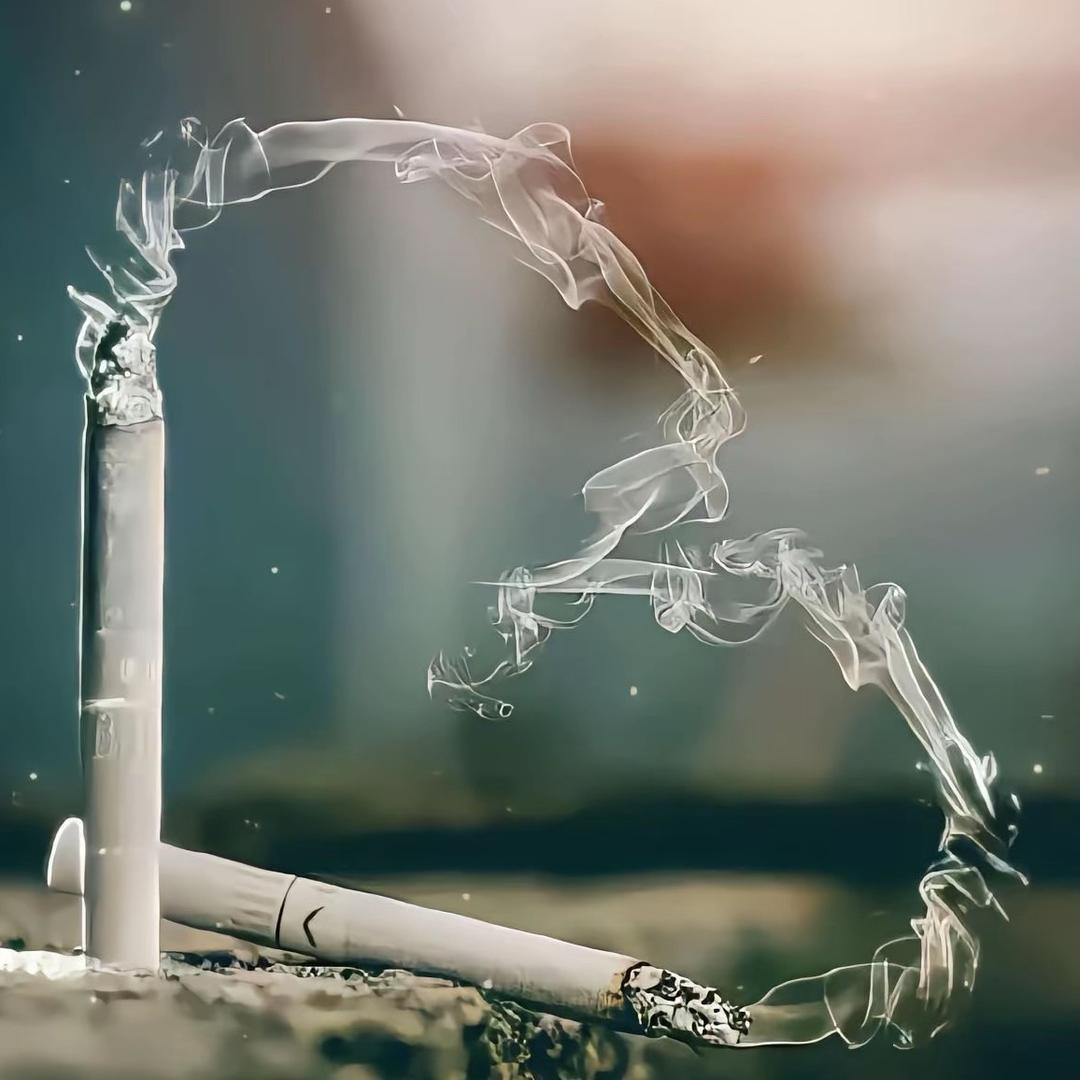 迟遇.༗ˢʸˣˡᵖ